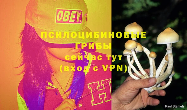 МДМА Дмитров