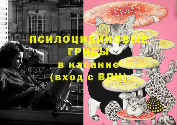 МДМА Дмитров